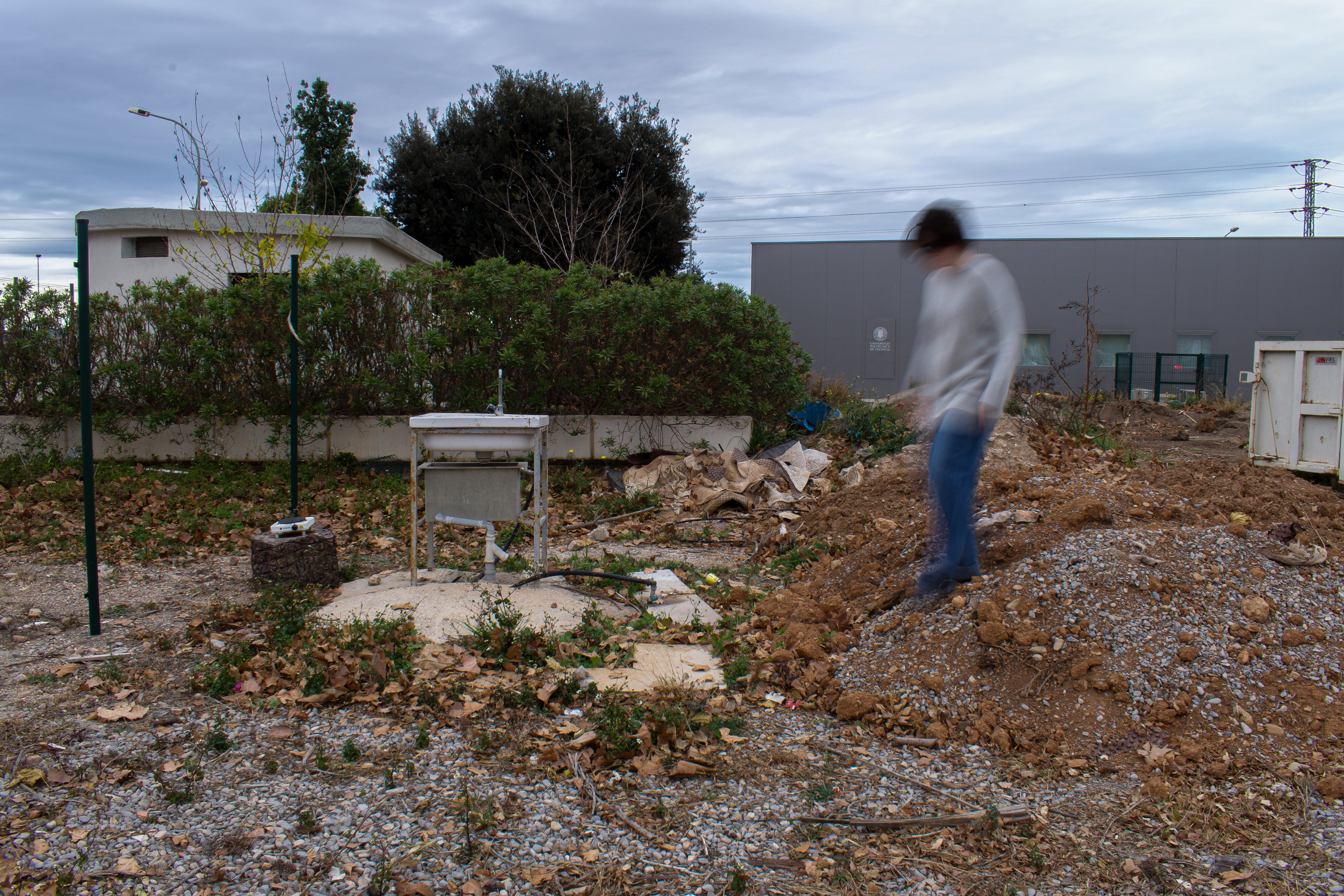 Imagen 2