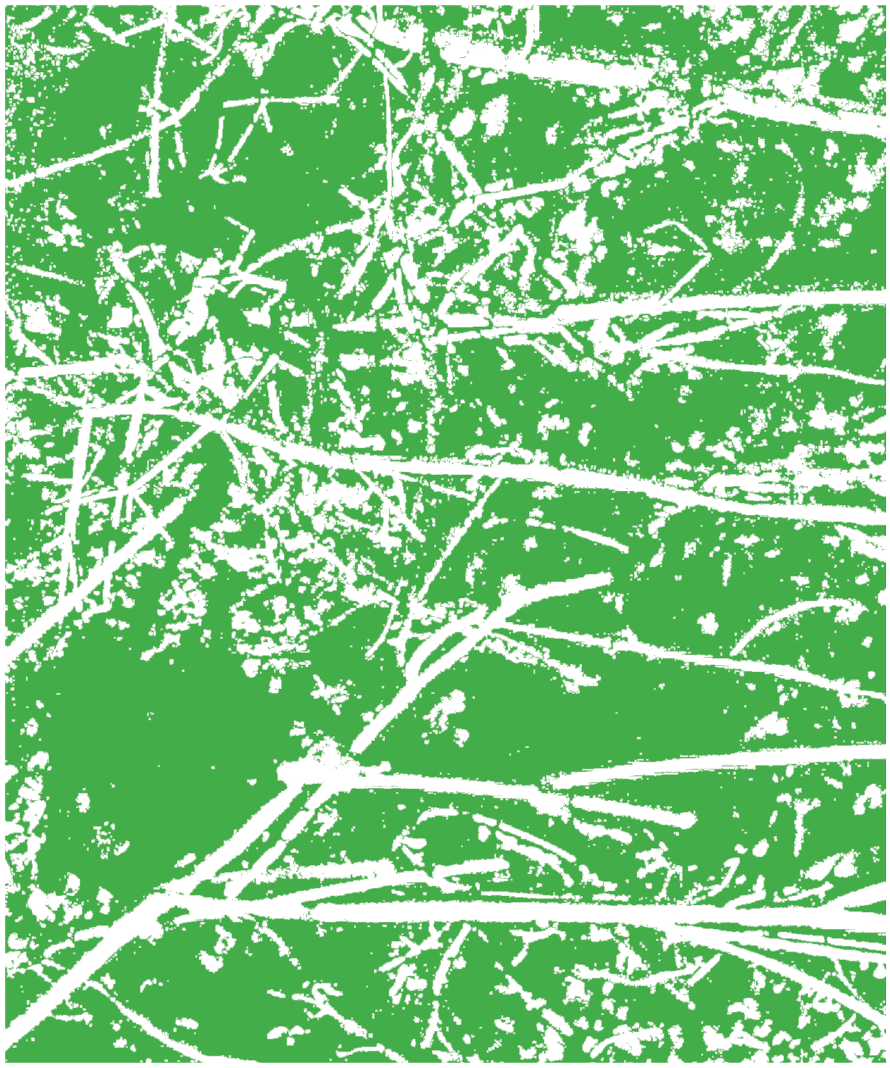 '15. Vida de ecosistemas terrestres' by Lía Salinas