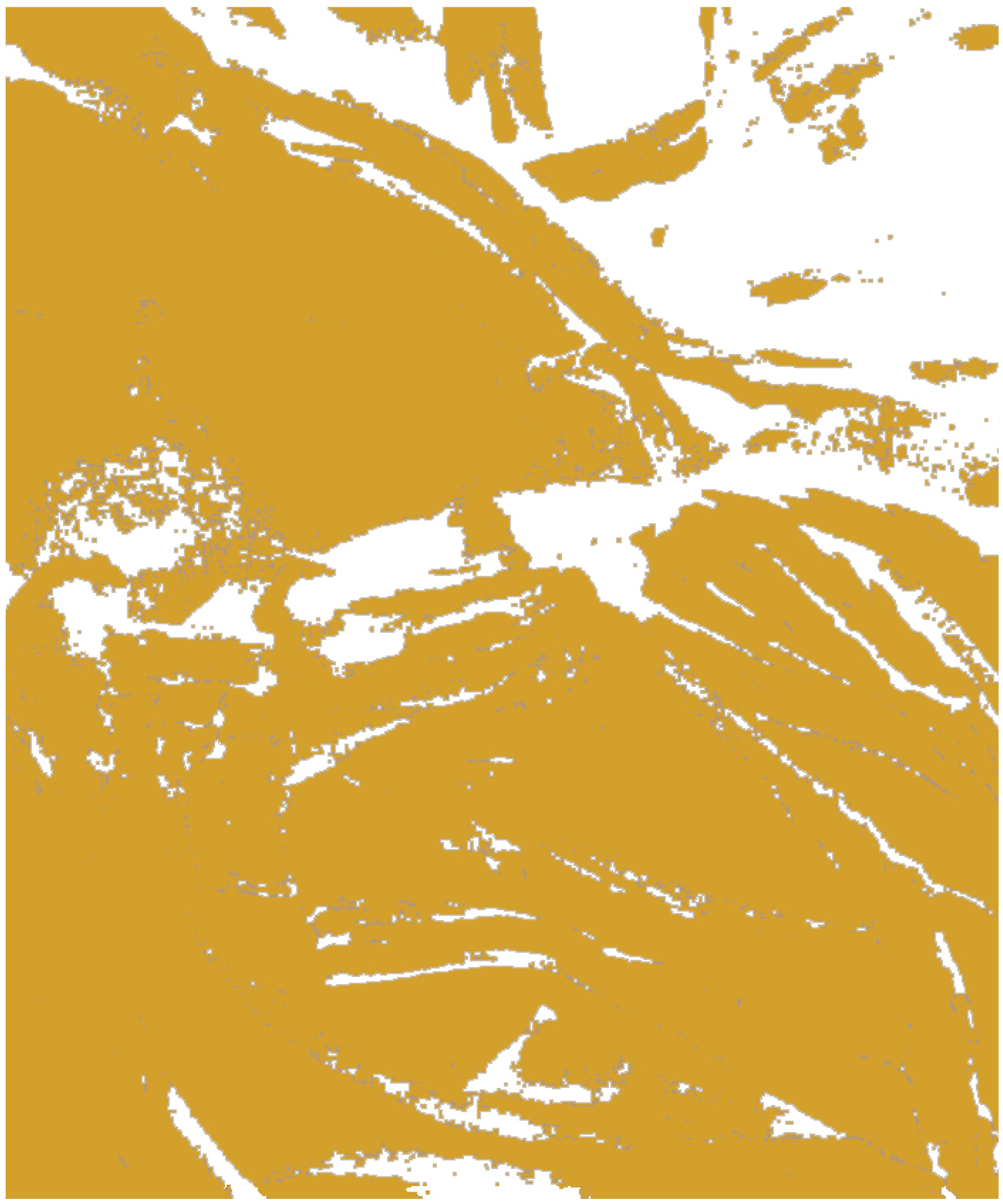 '2. Hambre cero' by Lía Salinas
